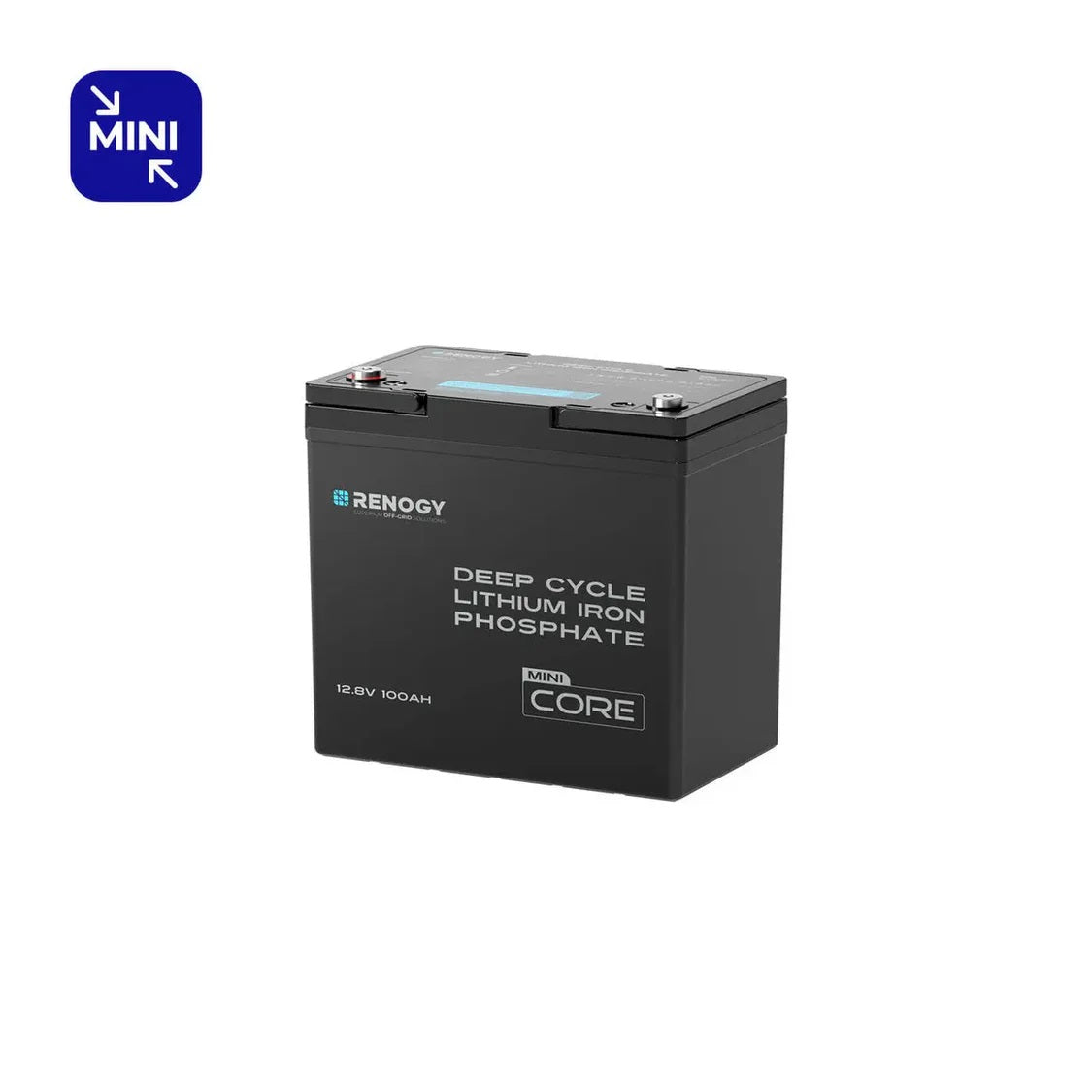 Renogy 12.8V 100Ah Lithium Iron Phosphate Battery